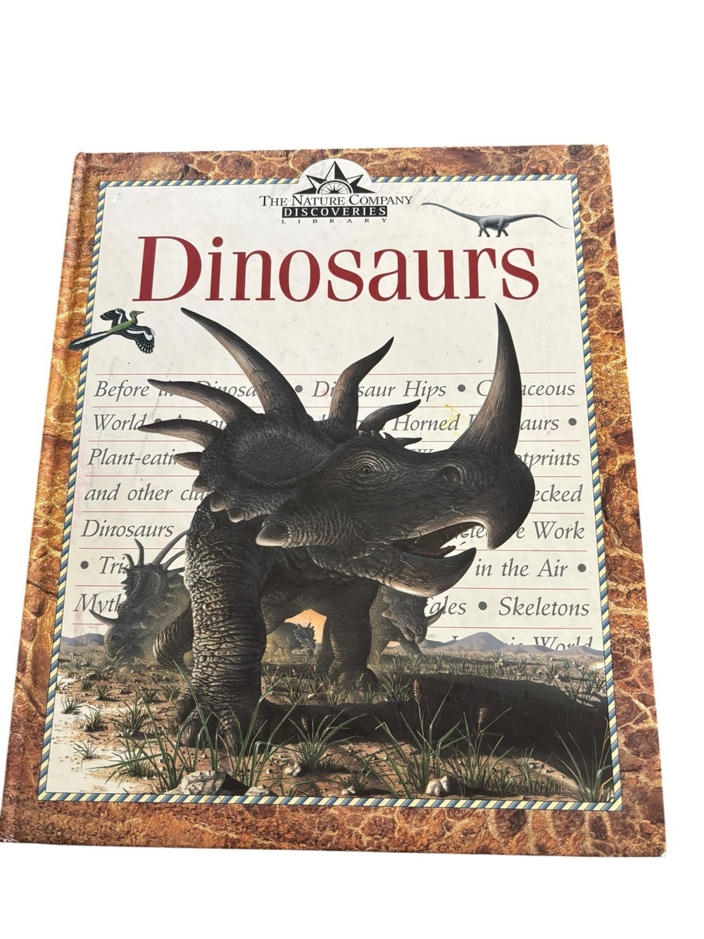 VTG The Nature Co. Discoveries Library Dinosaurs Hardcover Children’s Book